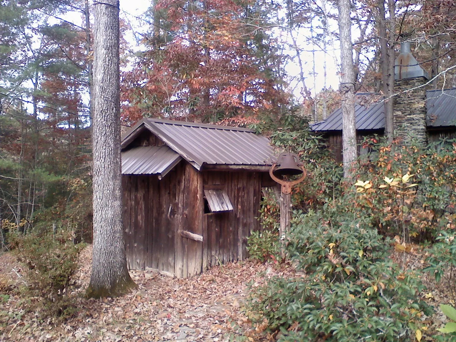 Small metal roof on a rough sawn shed in the woods in Aiea